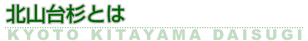 北山台杉とは